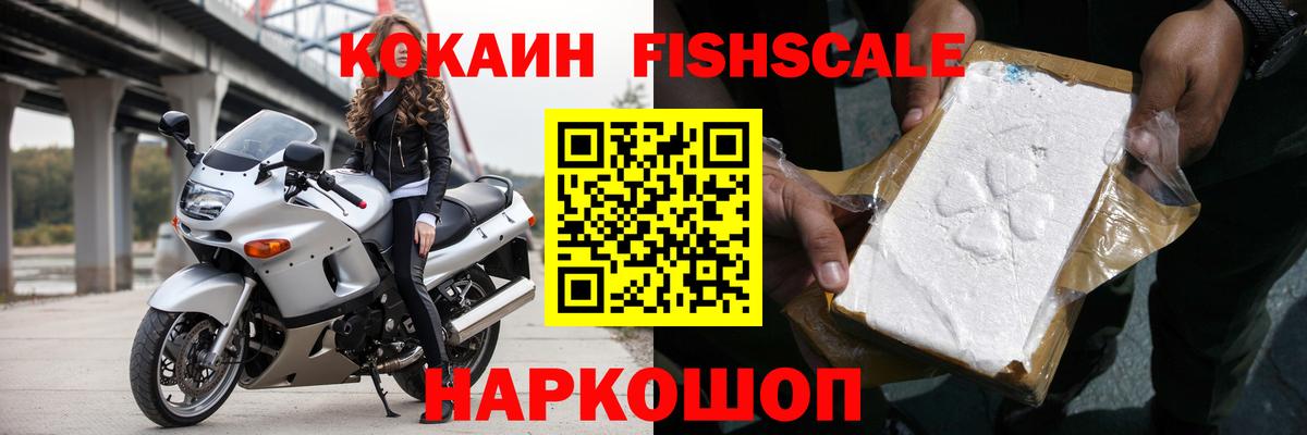 COCAIN Fish Scale  Нововоронеж 
