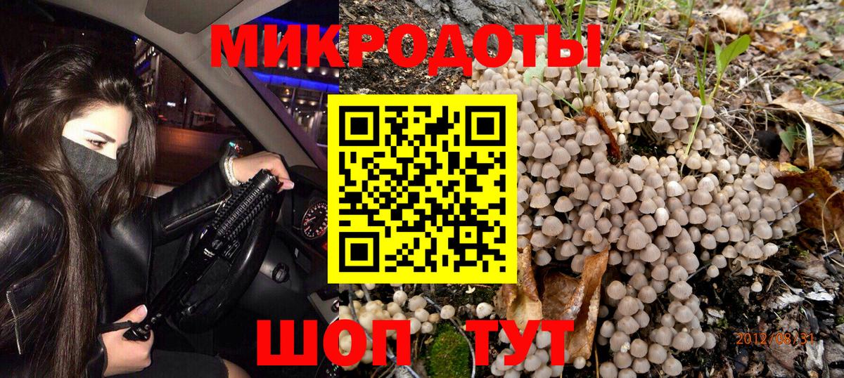Псилоцибиновые грибы Psilocybe  магазин продажи   Нововоронеж  Вход с VPN 